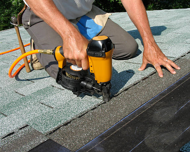 Best Roof Maintenance Services  in Leslie, MI