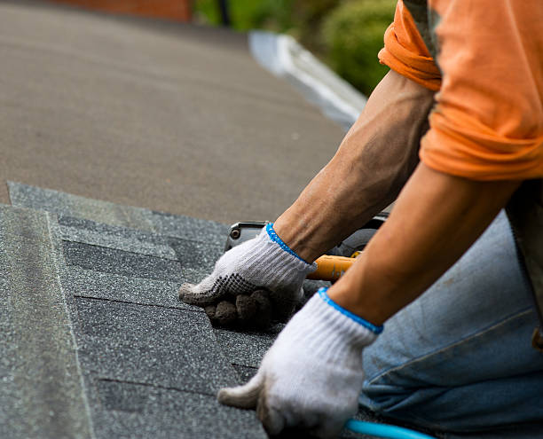 Best Roof Leak Repair  in Leslie, MI