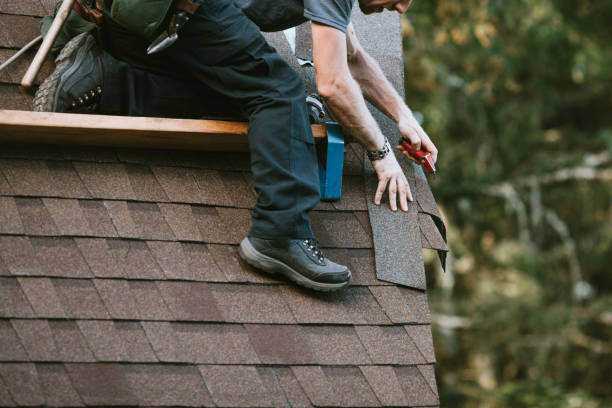 Best Roof Waterproofing Services  in Leslie, MI