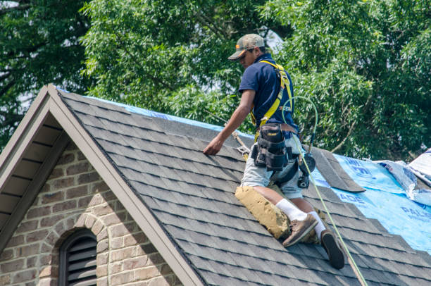 Best Residential Roofing Contractor  in Leslie, MI